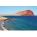 Holidays in Tenerife - exotic park and sandy beaches