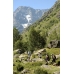 Alps: Europe highest resort for nature lovers